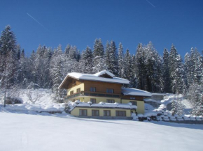 Austrian Alps - Haus Kienreich, Altenmarkt Im Pongau, Österreich